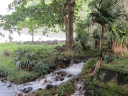 Visite de la petite cousine !